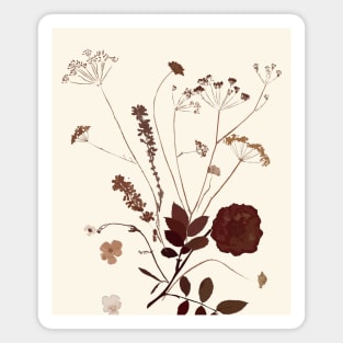 Dried flowers Magnet